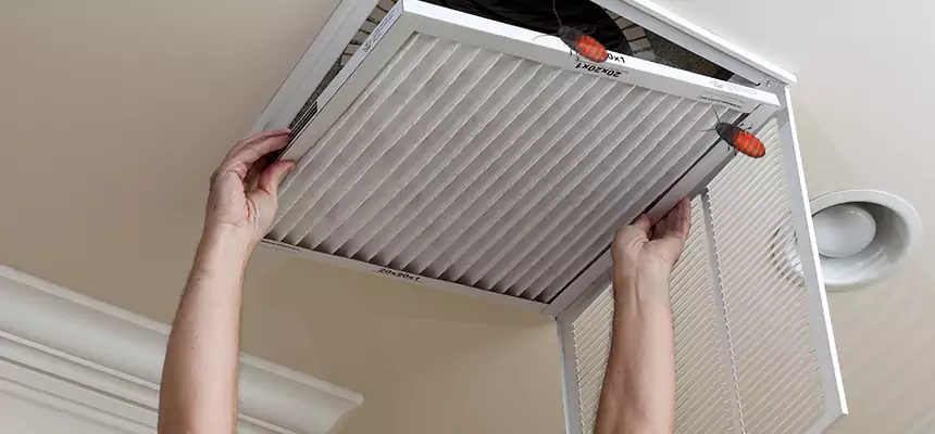 Our Insect Removal from Air Ducts Services in Midwest City, OK