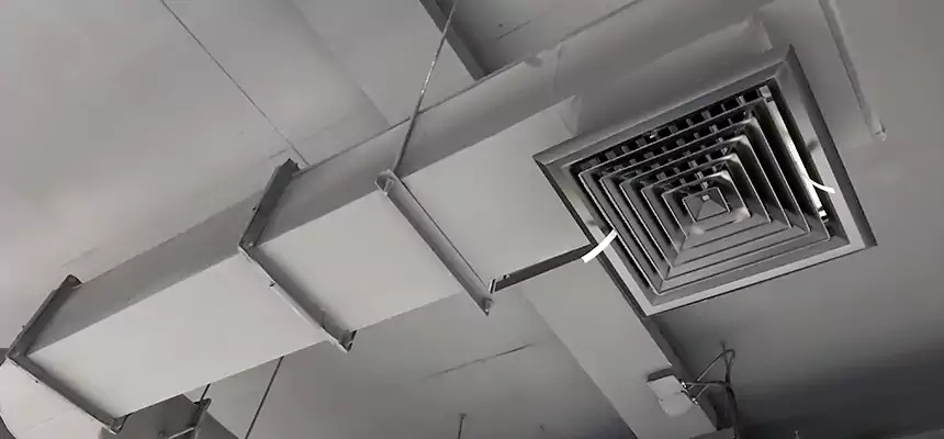 Our Pest Removal From Ducts Services in Midwest City, OK