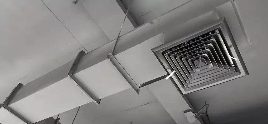 Our Rodent Droppings In Vents Services in Midwest City, OK