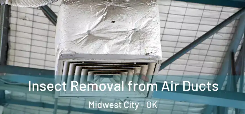  Insect Removal from Air Ducts Midwest City - OK